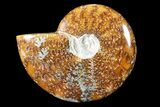 Polished, Agatized/Pyritized Ammonite (Cleoniceras) - Madagascar #88078-1